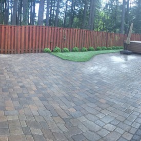 Our Work