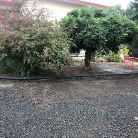 Our Work
