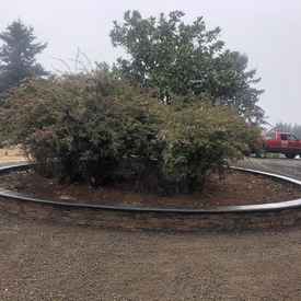 Our Work